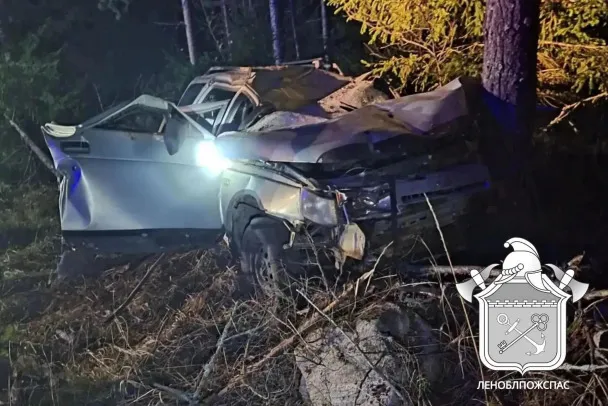 Два человека госпитализированы после ДТП с лосем в Приозерском районе