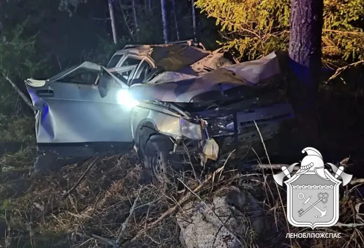 В Приозерском районе ВАЗ врезался в лося и дерево