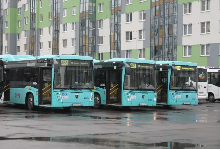 Более тысячи жителей Ленобласти и Петербурга получили компенсацию за ОСАГО