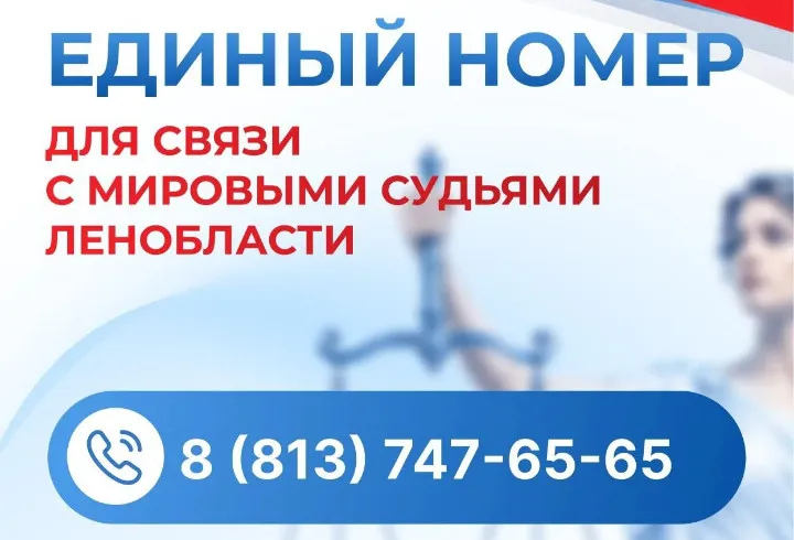 В Ленобласти запустят единый номер для связи с мировыми судьями