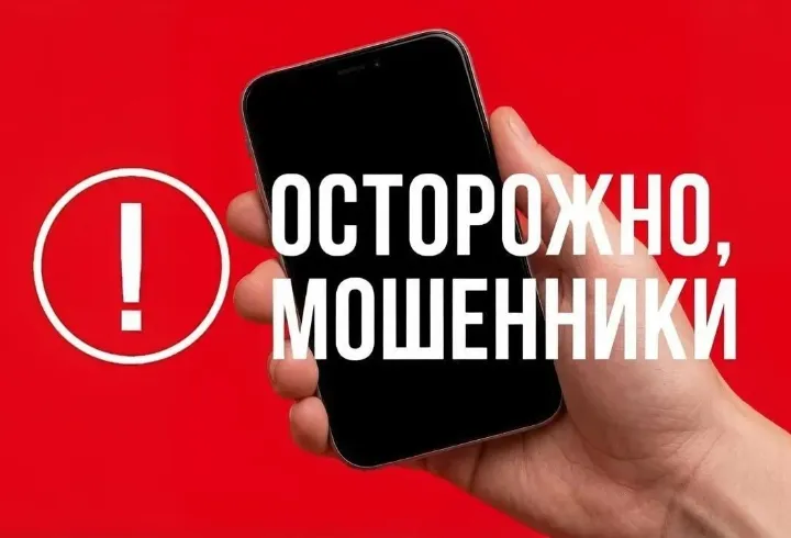 В Ленобласти мошенники звонят семьям погибших участников СВО