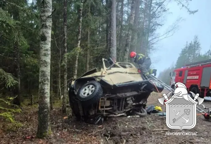 Водитель Mercedes погиб, врезавшись в дерево под Выборгом