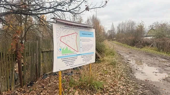 СНТ «Пулково-2» в Московском районе начнут освобождать 26 октября