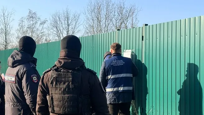 Власти Петербурга проверяют сведения о постоянных жителях сносимых огородов