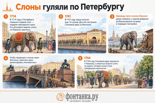 Почему слоны больше не живут в Петербурге