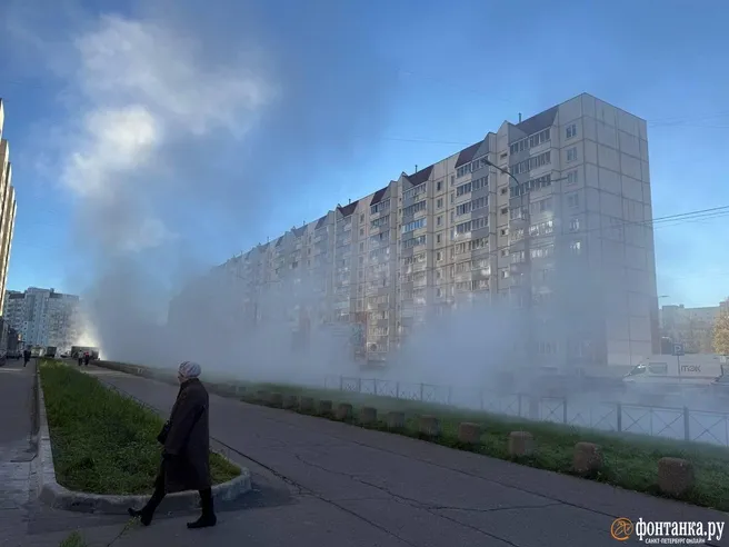 В Колпино при прорыве горячей воды пострадали женщина и подросток