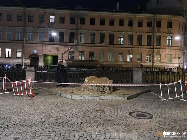 В центре Петербурга спилили 116-летний Берлинский тополь
