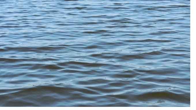 Спортшколы Петербурга хотят освободить от аукционов на водные участки