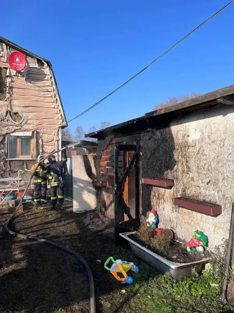 В Отрадном при пожаре спасли женщину и полуторагодовалого ребёнка