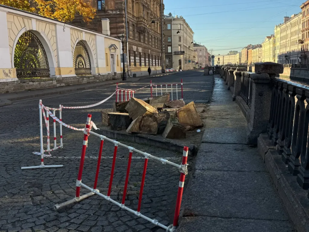 Пень спиленного берлинского тополя у Банковского моста оставили на месте