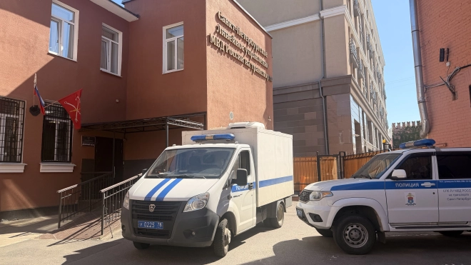 Полиция задержала трёх подростков-зацеперов на «Ласточке»